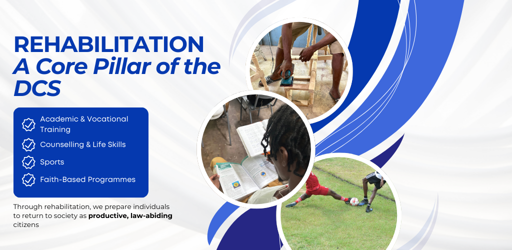 Rehabilitation- A Core Pillar of the DCS