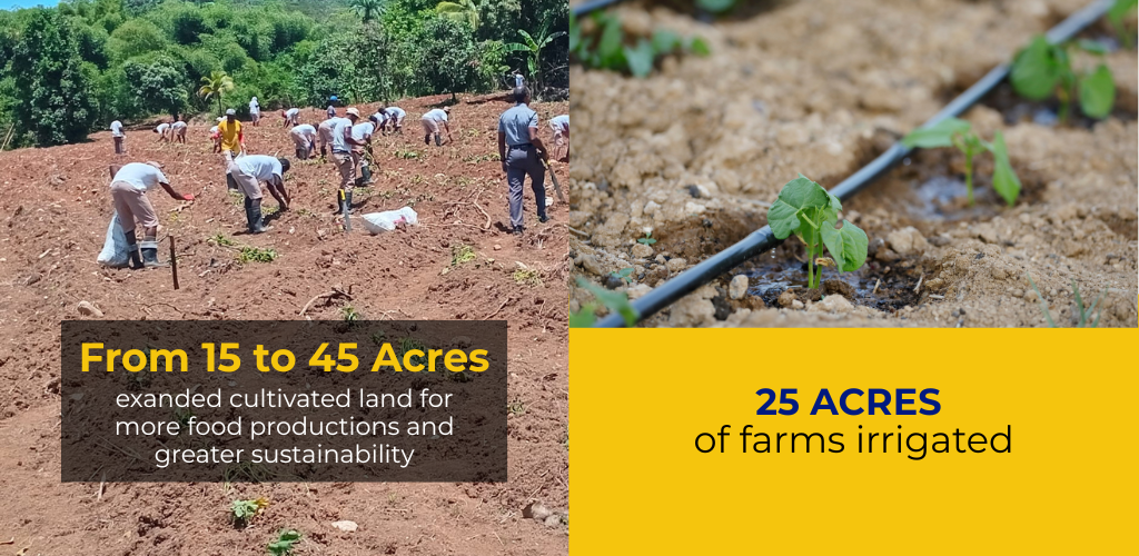 Sentencing Alternatives to Imprisonment (1024 x 500 px) (5)