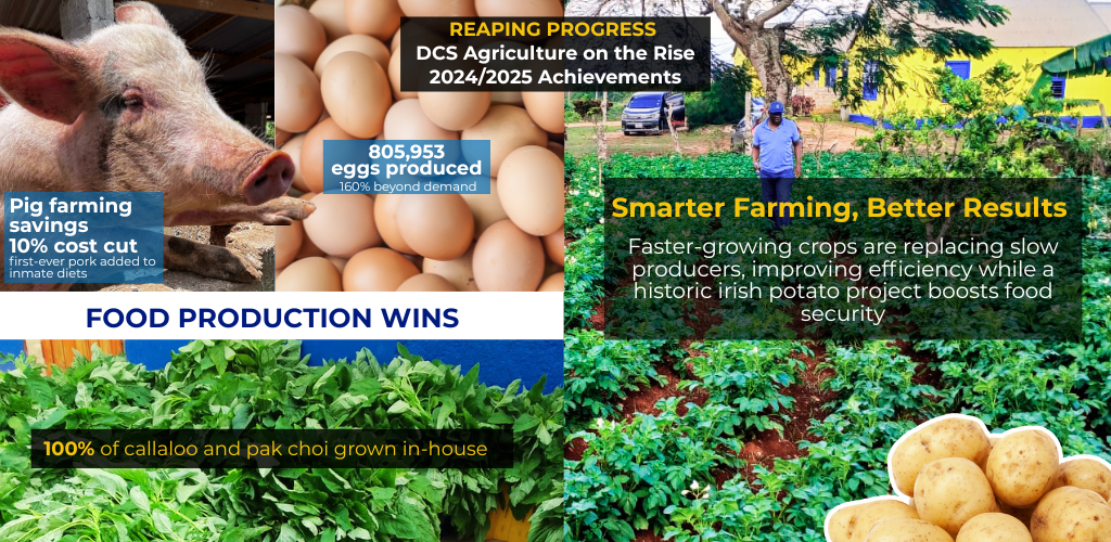 Sentencing Alternatives to Imprisonment (1024 x 500 px) (6)