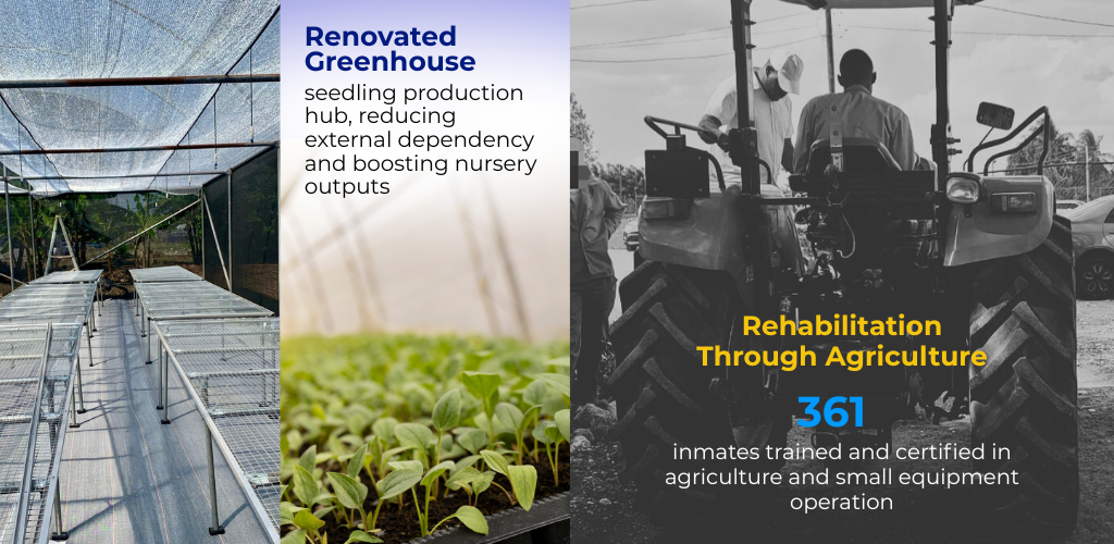 Sentencing Alternatives to Imprisonment (1024 x 500 px) (7)